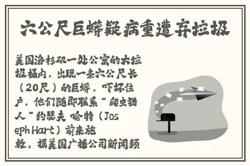免费看黄网站AV无码草莓视频